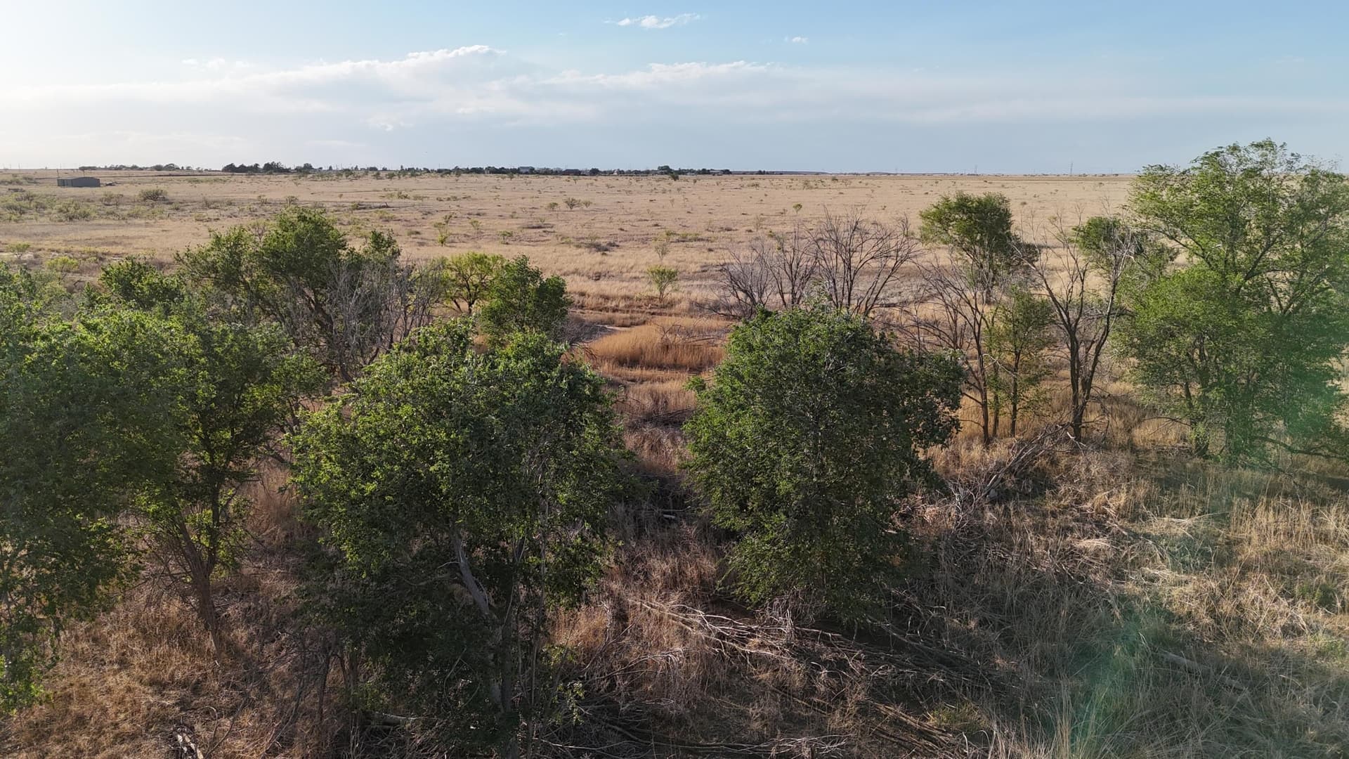29.87 acres in Lubbock County - photo 7