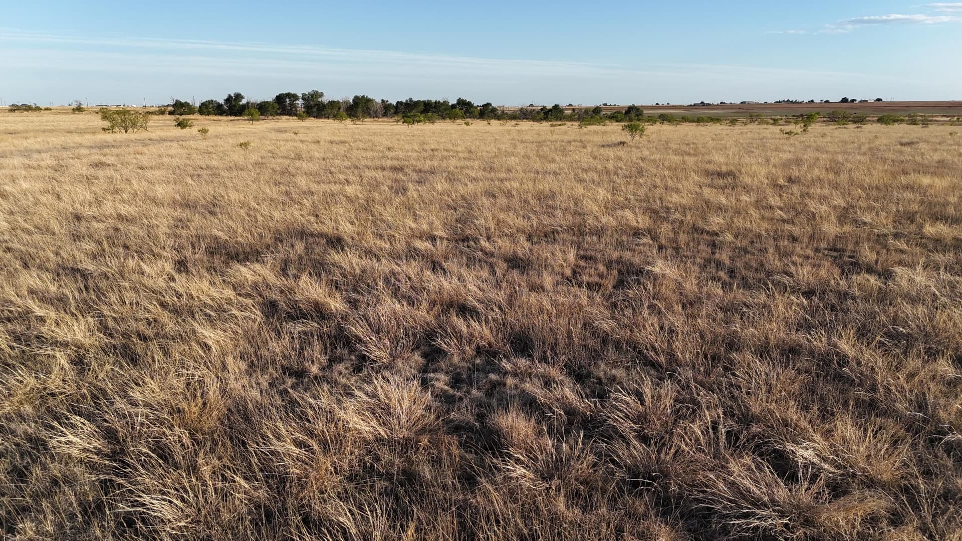 29.87 acres in Lubbock County - photo 22