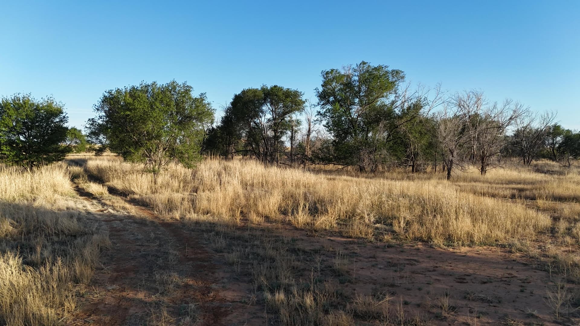 29.87 acres in Lubbock County - photo 5