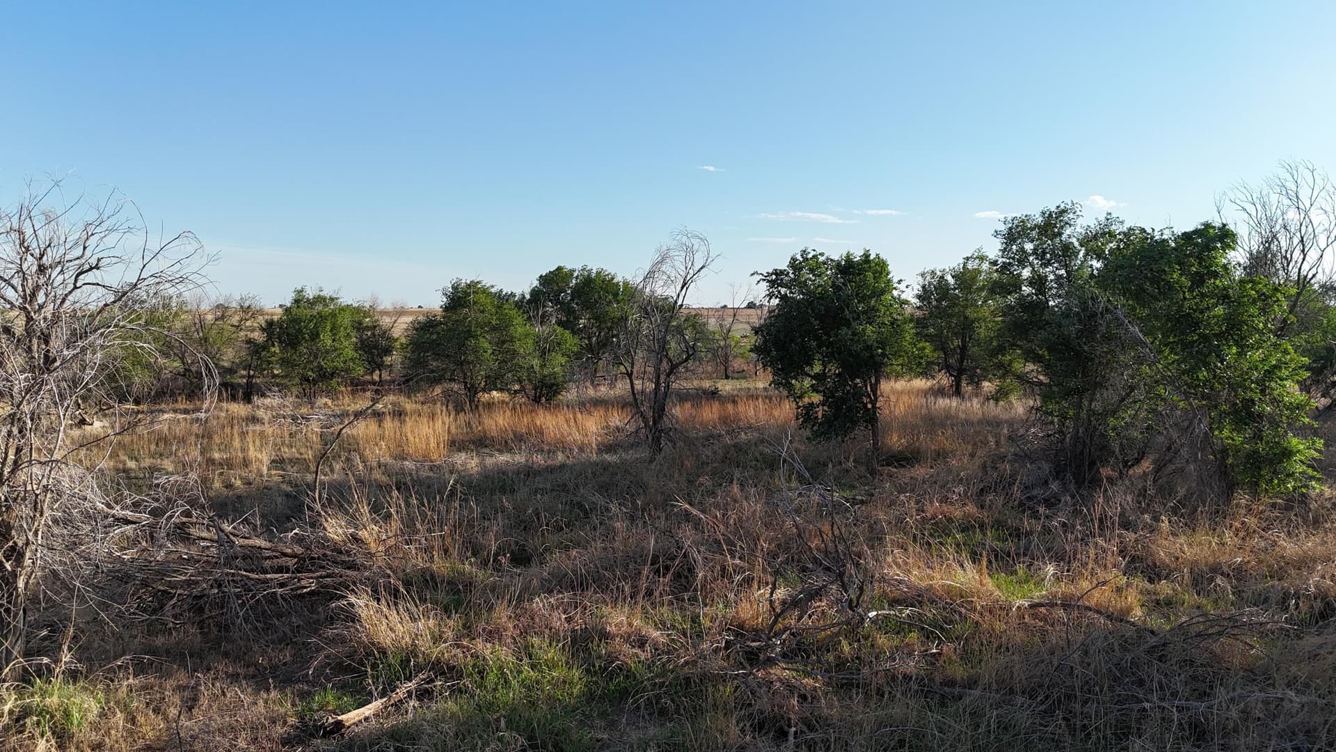 29.87 acres in Lubbock County - photo 6