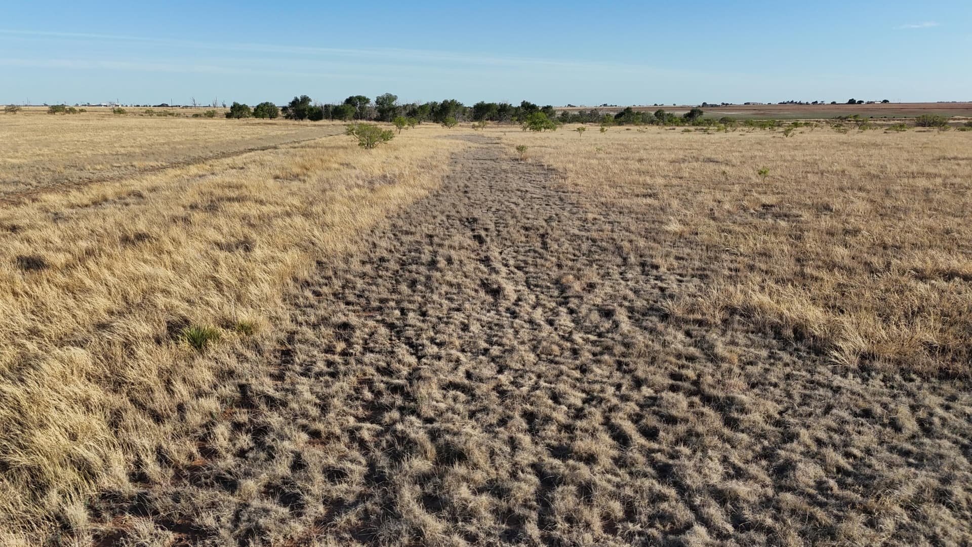 29.87 acres in Lubbock County - photo 15