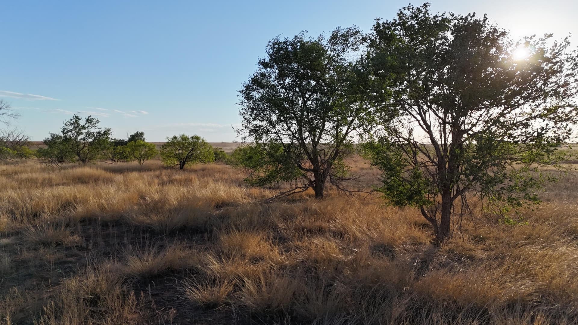 29.87 acres in Lubbock County - photo 2