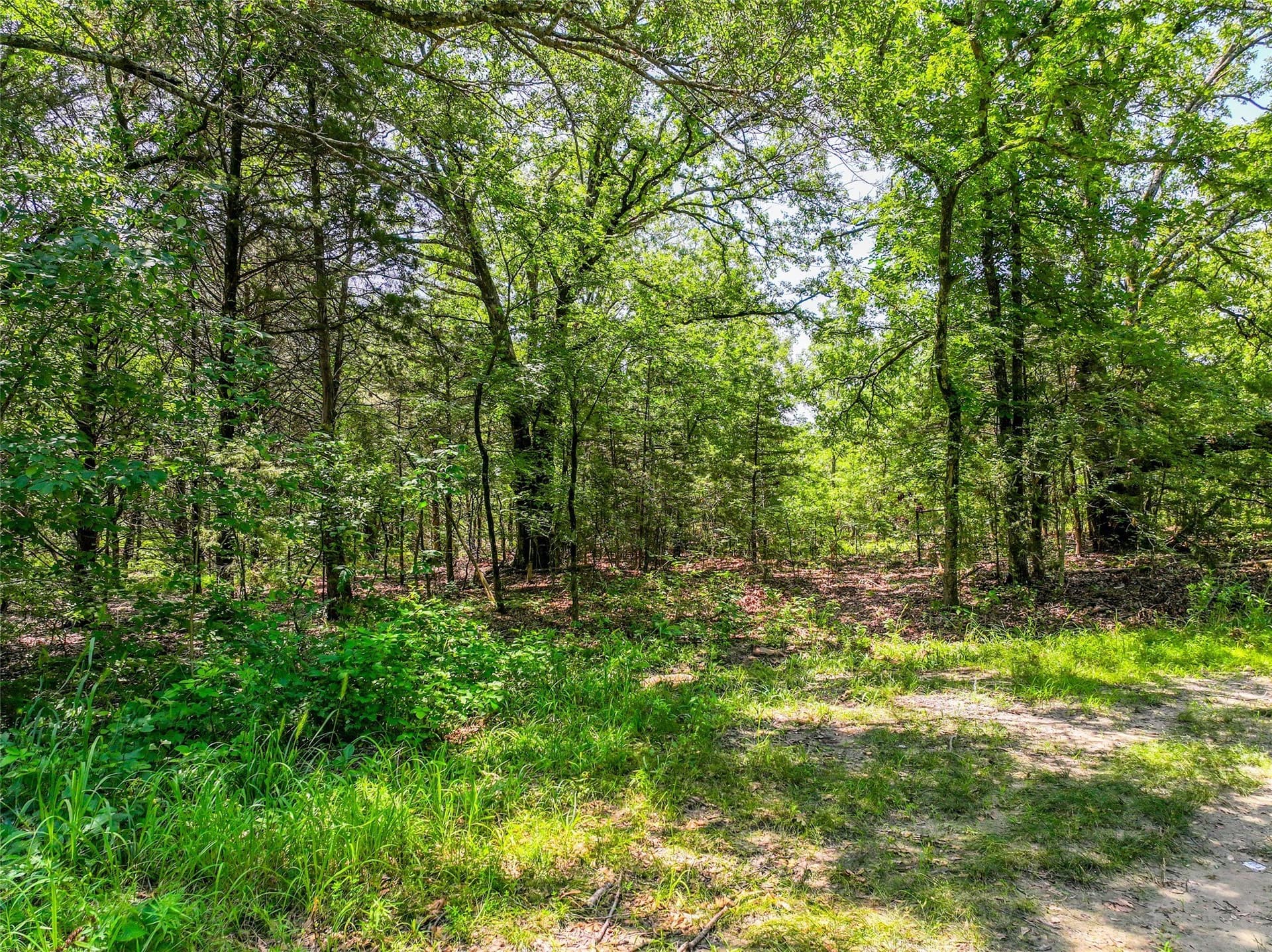 11.67 acres in Hunt County - photo 11