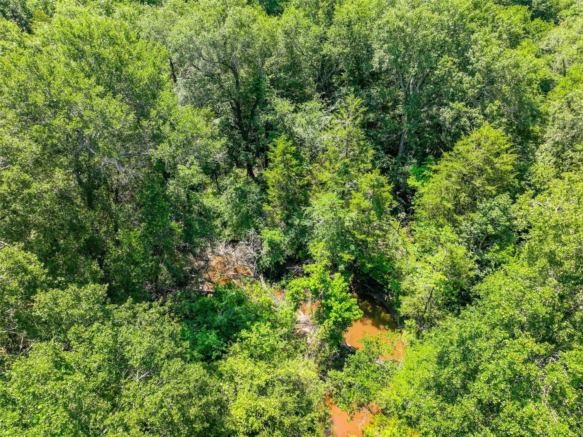 11.67 acres in Hunt County - photo 6