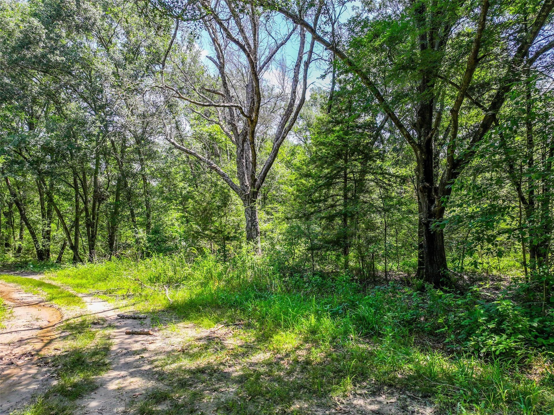 11.67 acres in Hunt County - photo 10