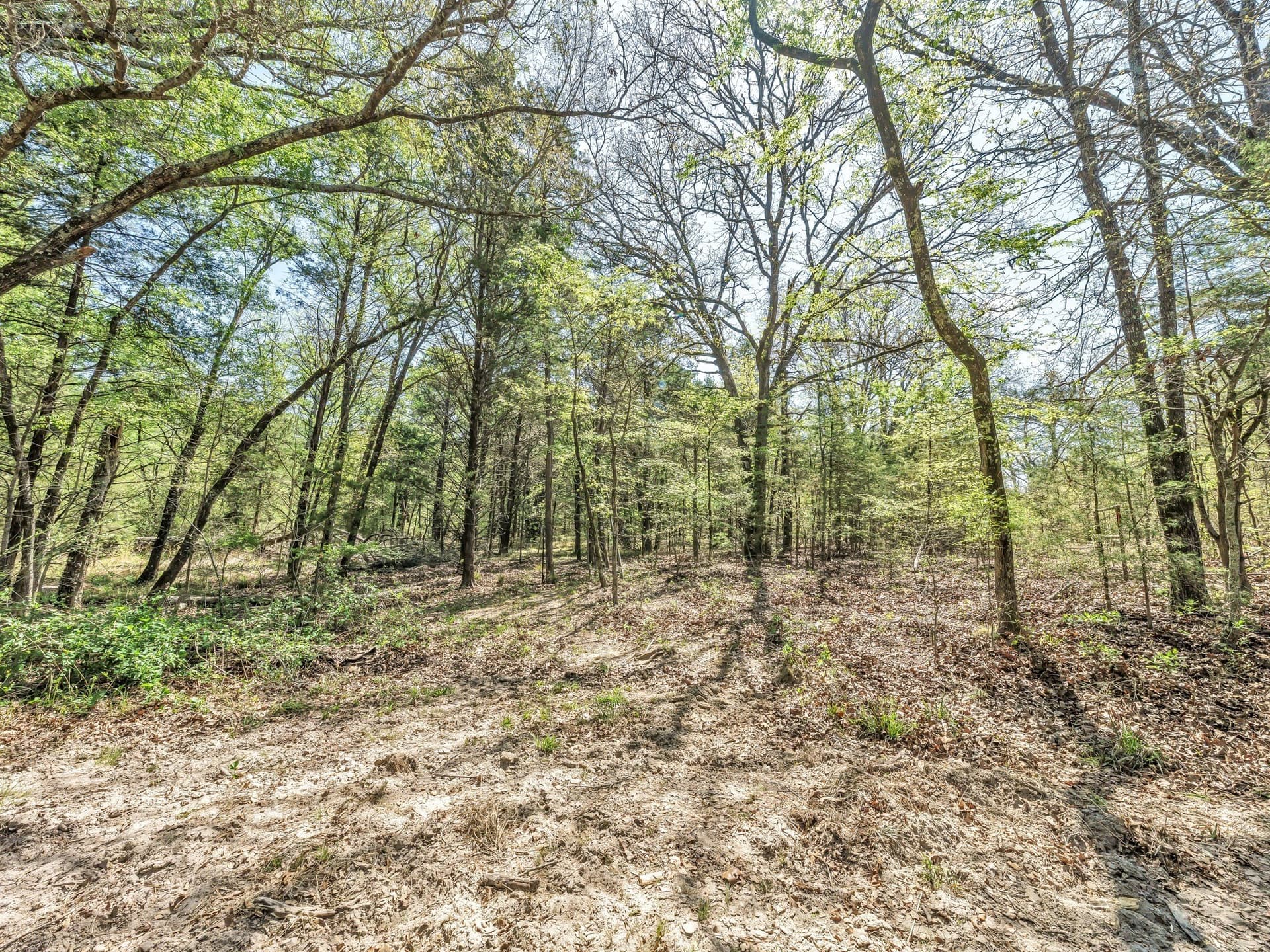 11.67 acres in Hunt County - photo 8