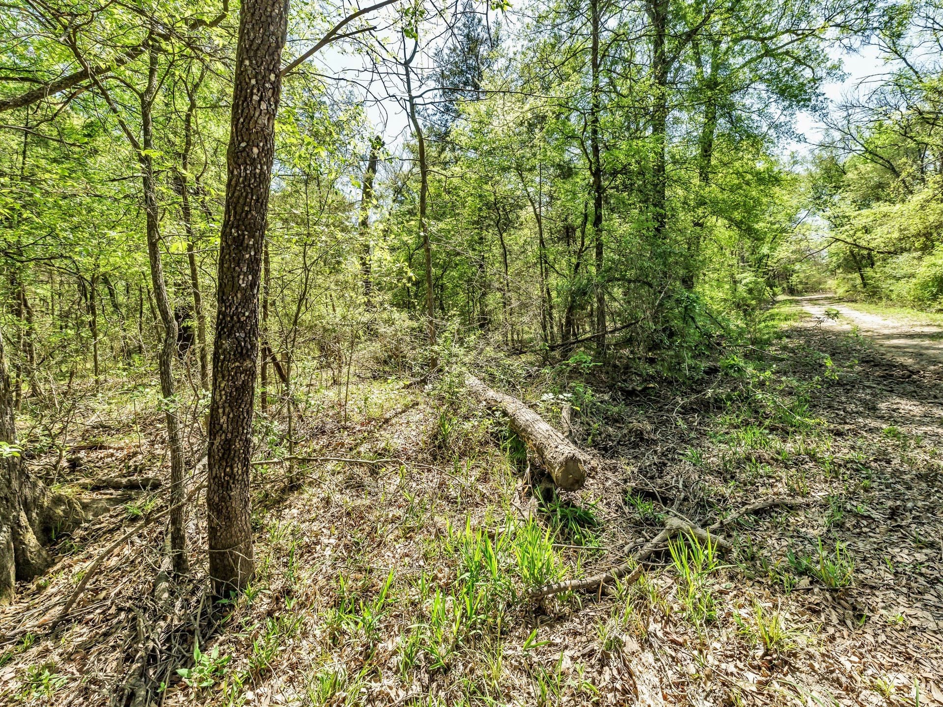 11.67 acres in Hunt County - photo 9