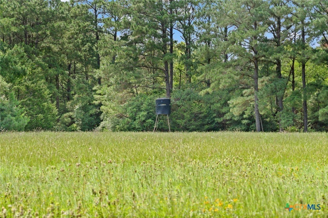 291.49 acres in Bastrop County - photo 22