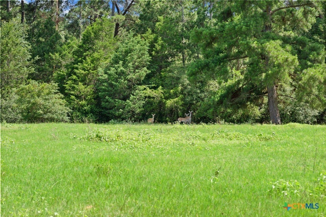 291.49 acres in Bastrop County gallery image 2