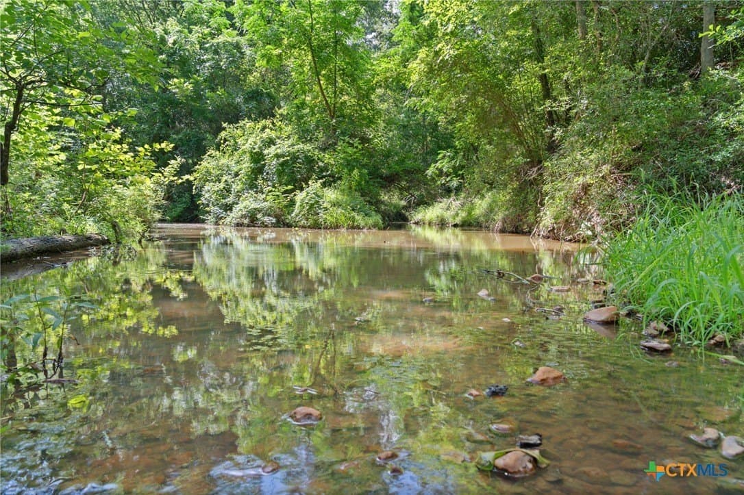 291.49 acres in Bastrop County - photo 20