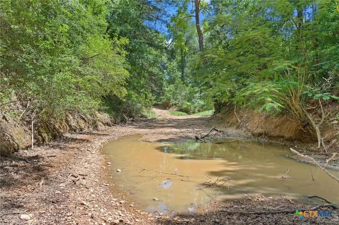 291.49 acres in Bastrop County - photo 16