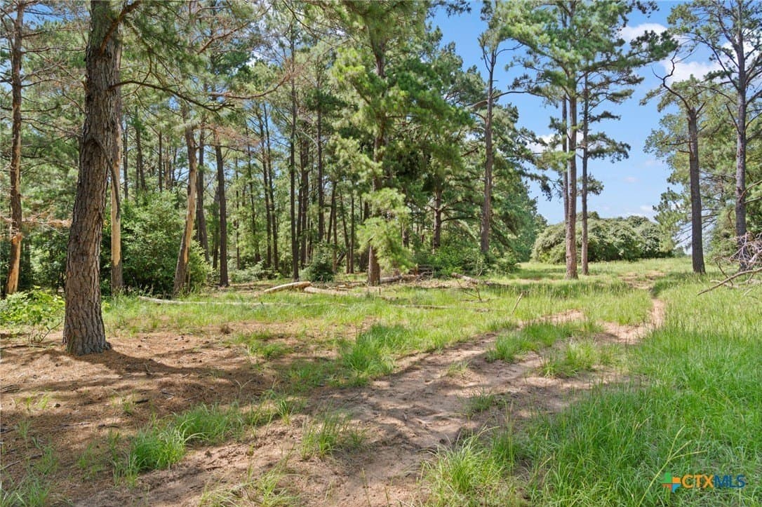 291.49 acres in Bastrop County featured view