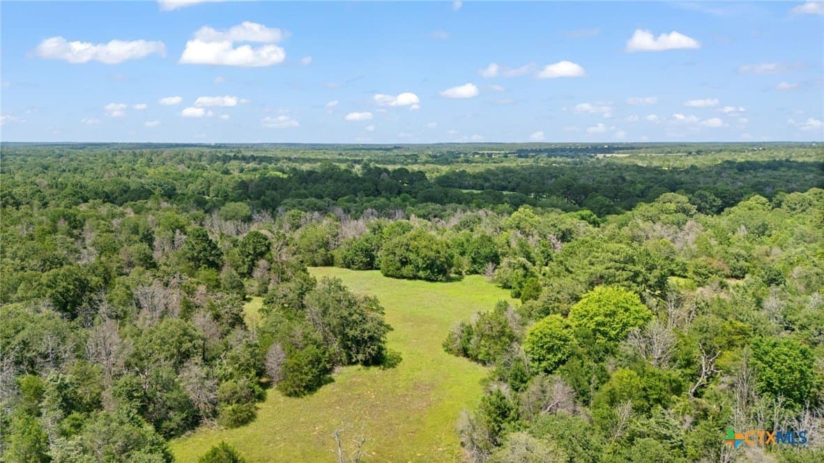 291.49 acres in Bastrop County - photo 19