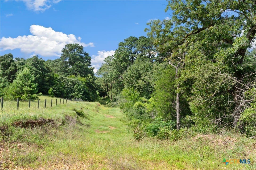 291.49 acres in Bastrop County - photo 37