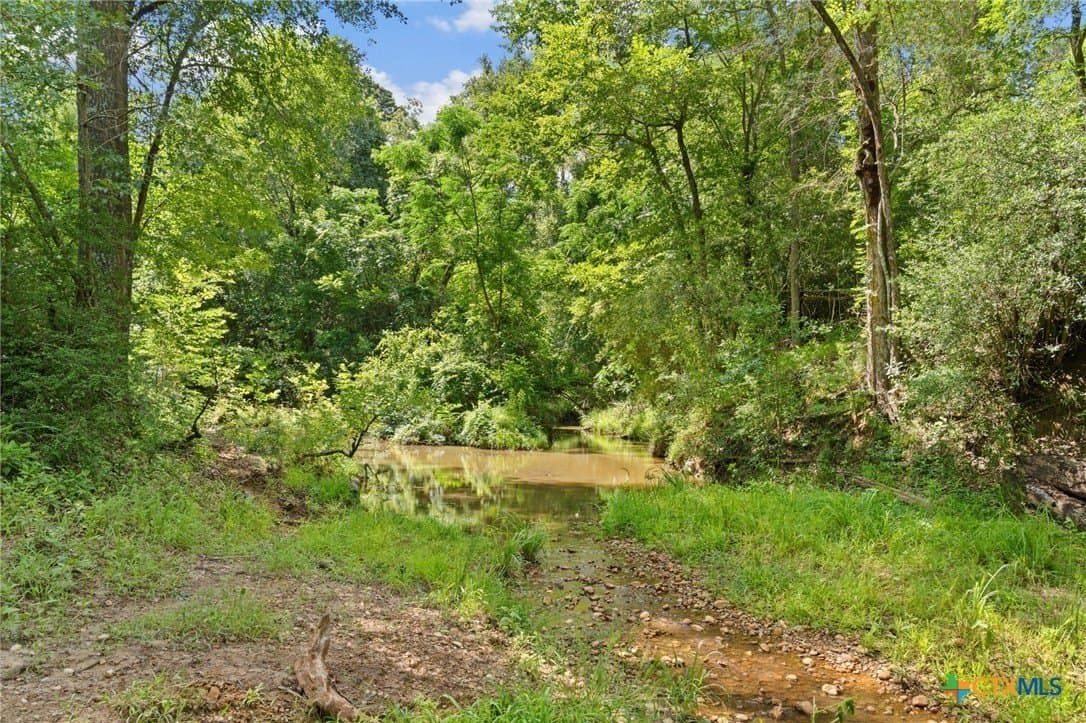 291.49 acres in Bastrop County gallery image 4