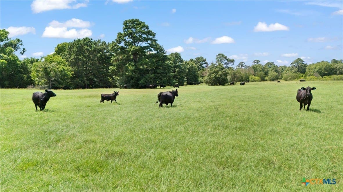 291.49 acres in Bastrop County - photo 7