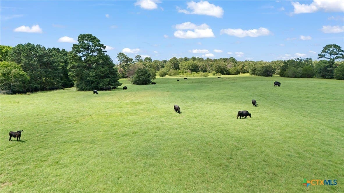 291.49 acres in Bastrop County - photo 32