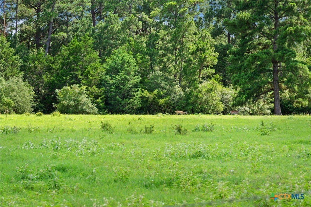 291.49 acres in Bastrop County - photo 41