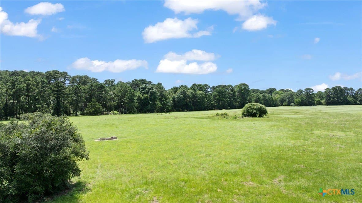 291.49 acres in Bastrop County - photo 6