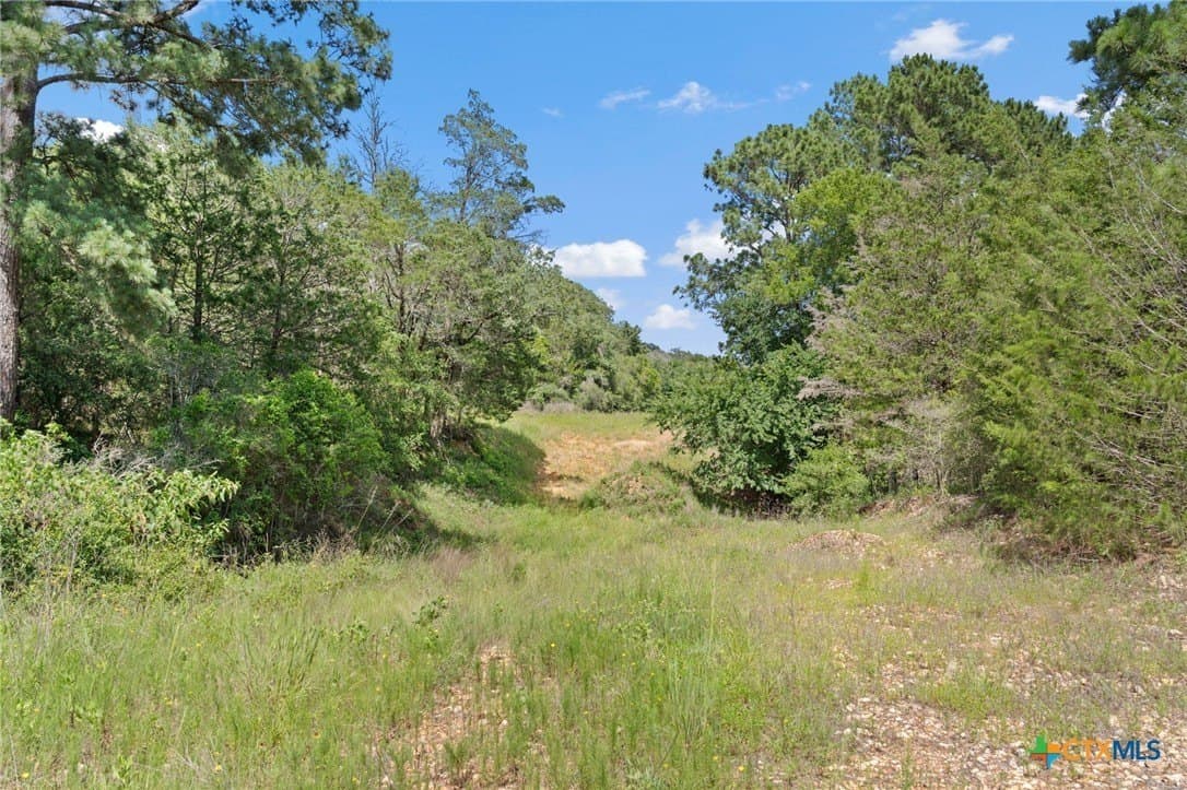291.49 acres in Bastrop County - photo 34