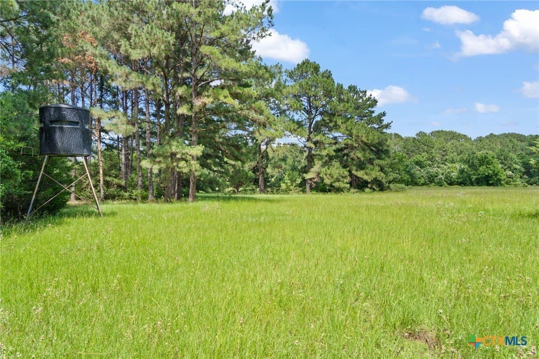 291.49 acres in Bastrop County - photo 21