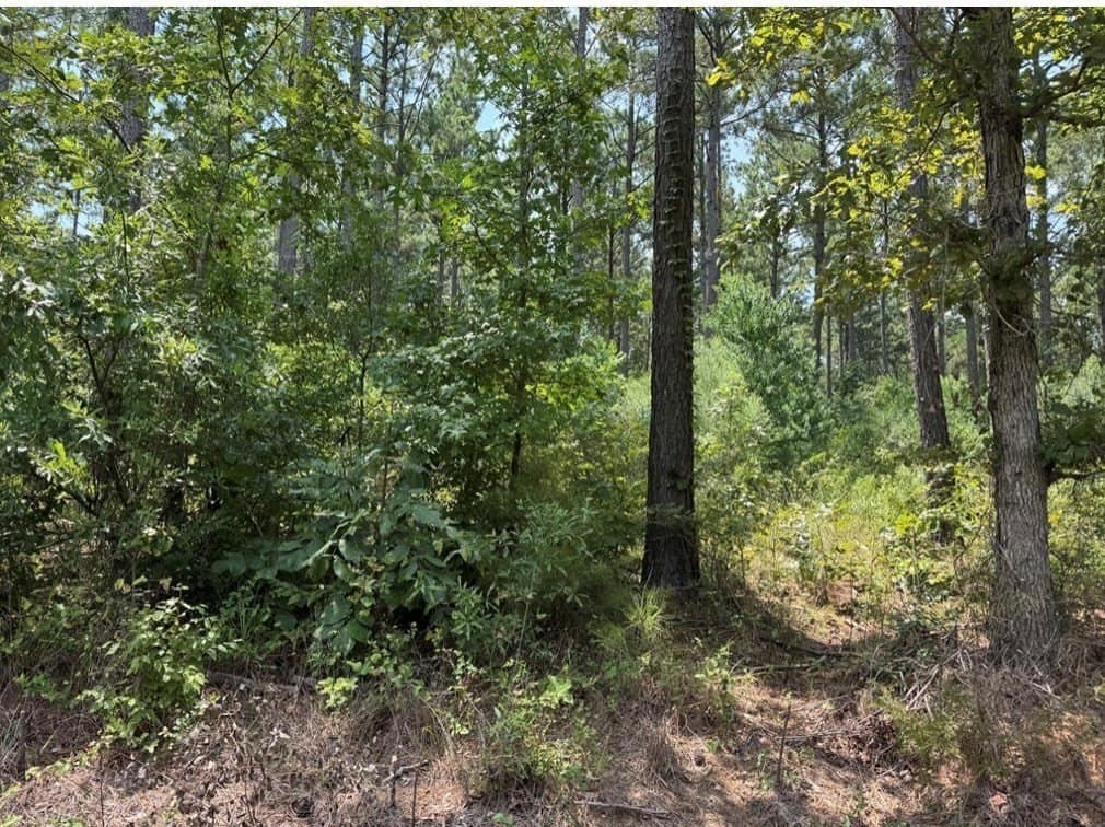 10 acres in Texas County featured view