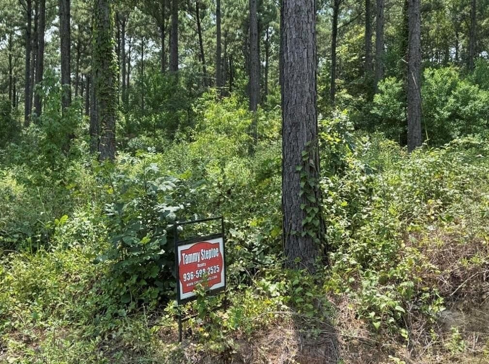 10 acres in Texas County