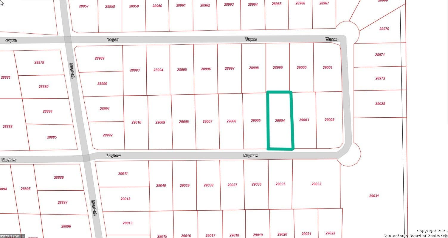 0.26 acres in Grimes County gallery image 3