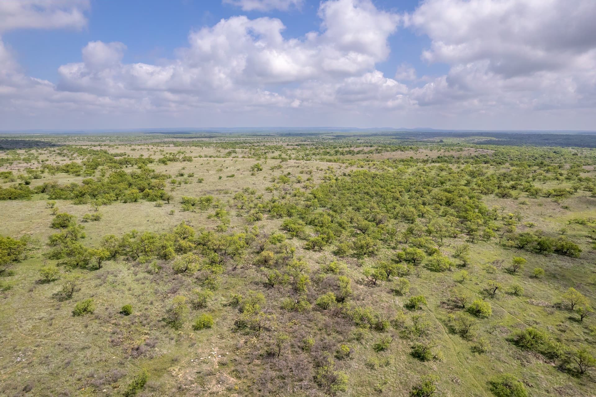 400 acres in Coleman County - photo 13