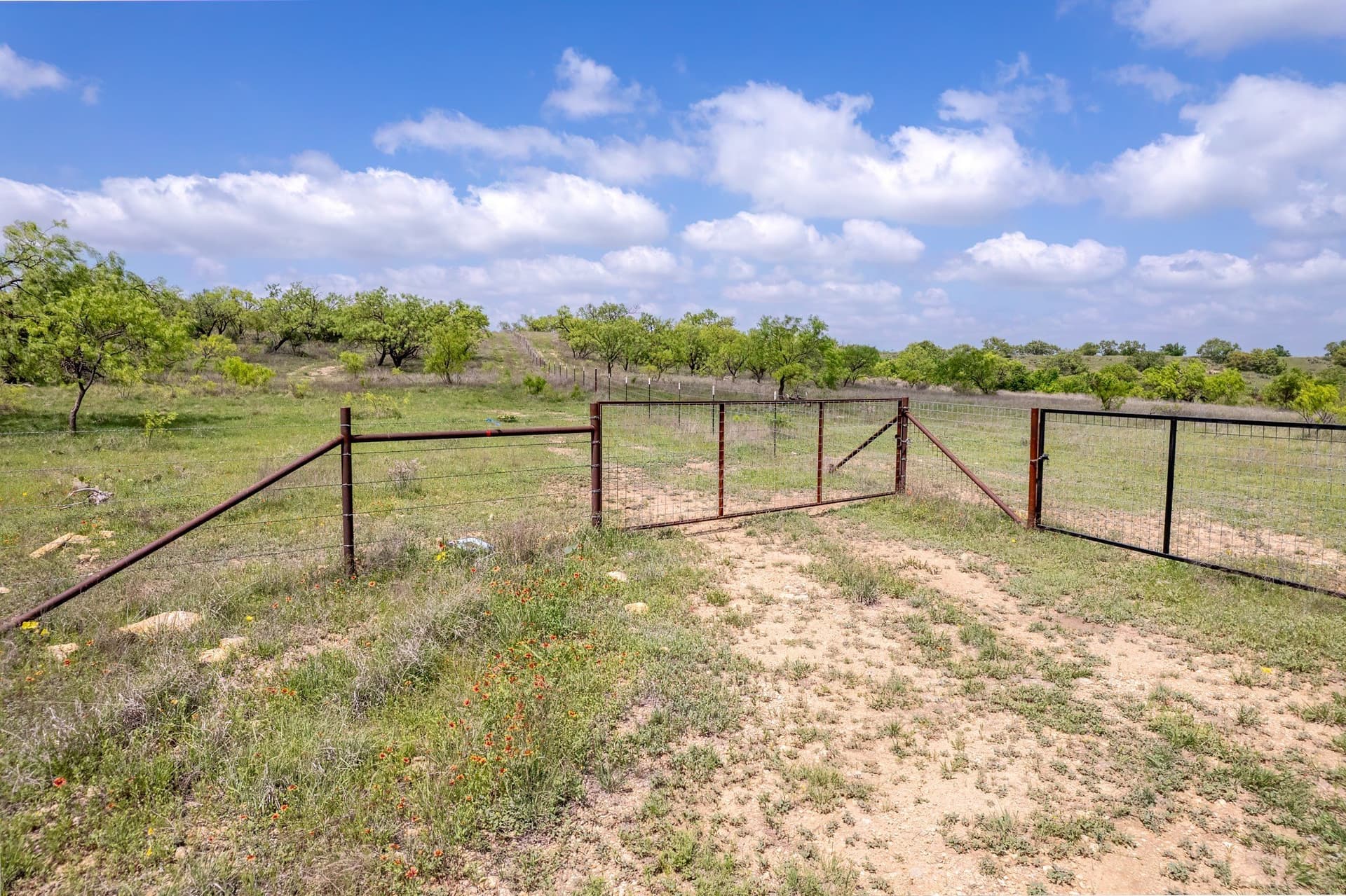 400 acres in Coleman County - photo 20