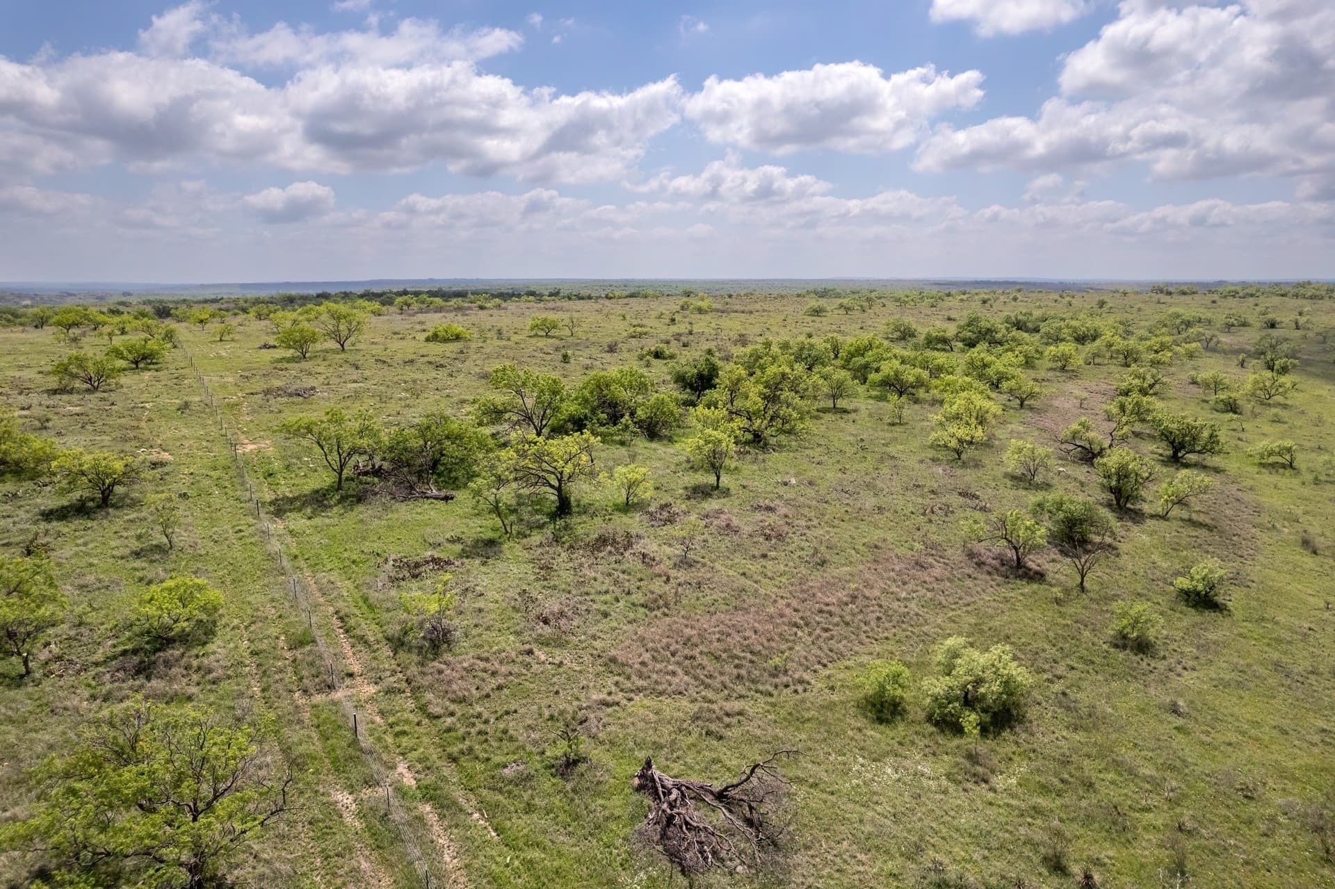 400 acres in Coleman County - photo 19