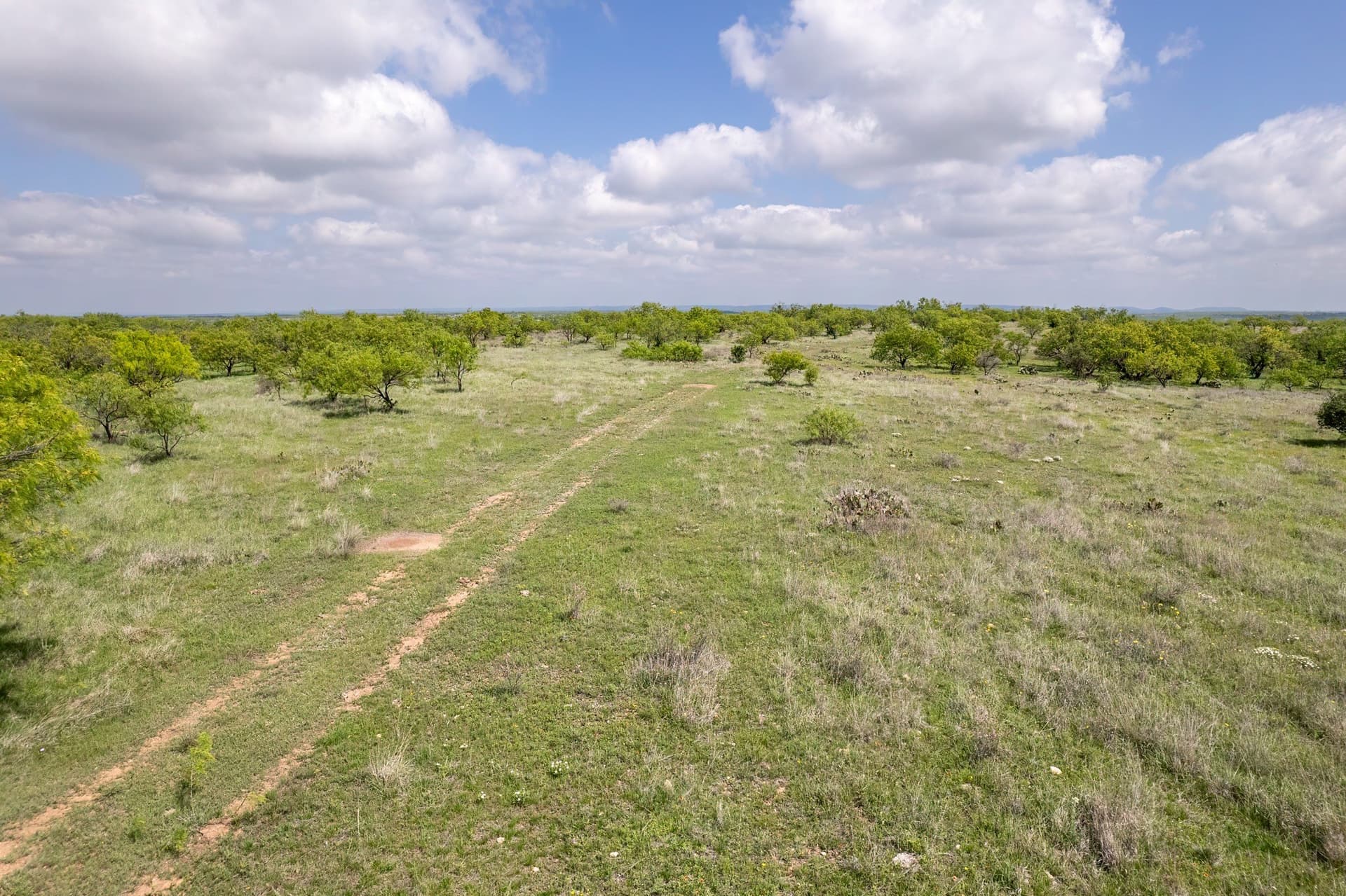 400 acres in Coleman County - photo 15