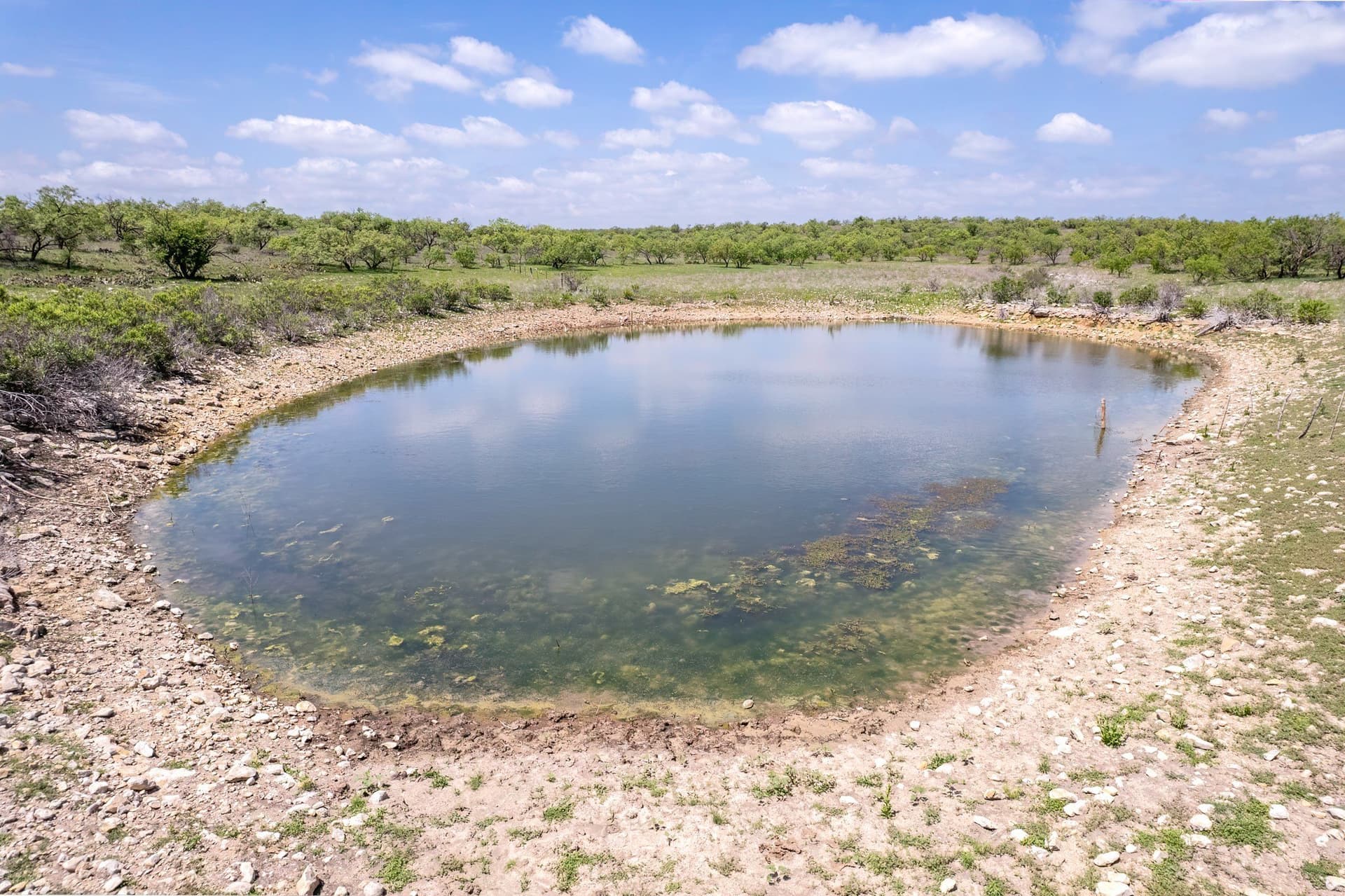 400 acres in Coleman County - photo 6