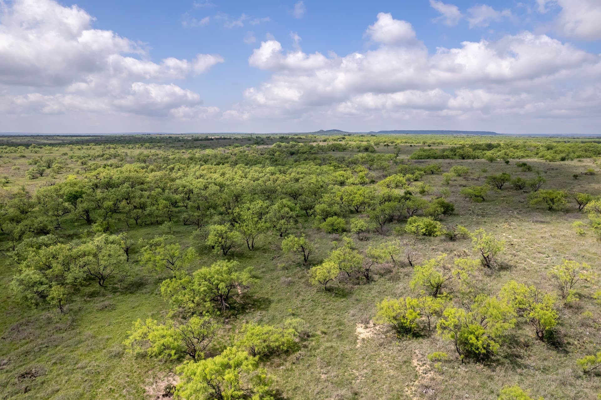 400 acres in Coleman County - photo 14