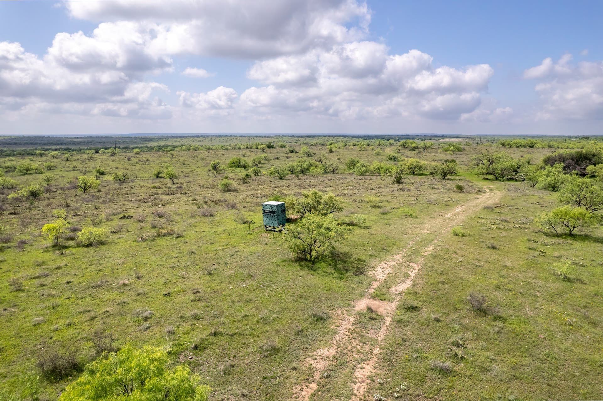 400 acres in Coleman County - photo 12