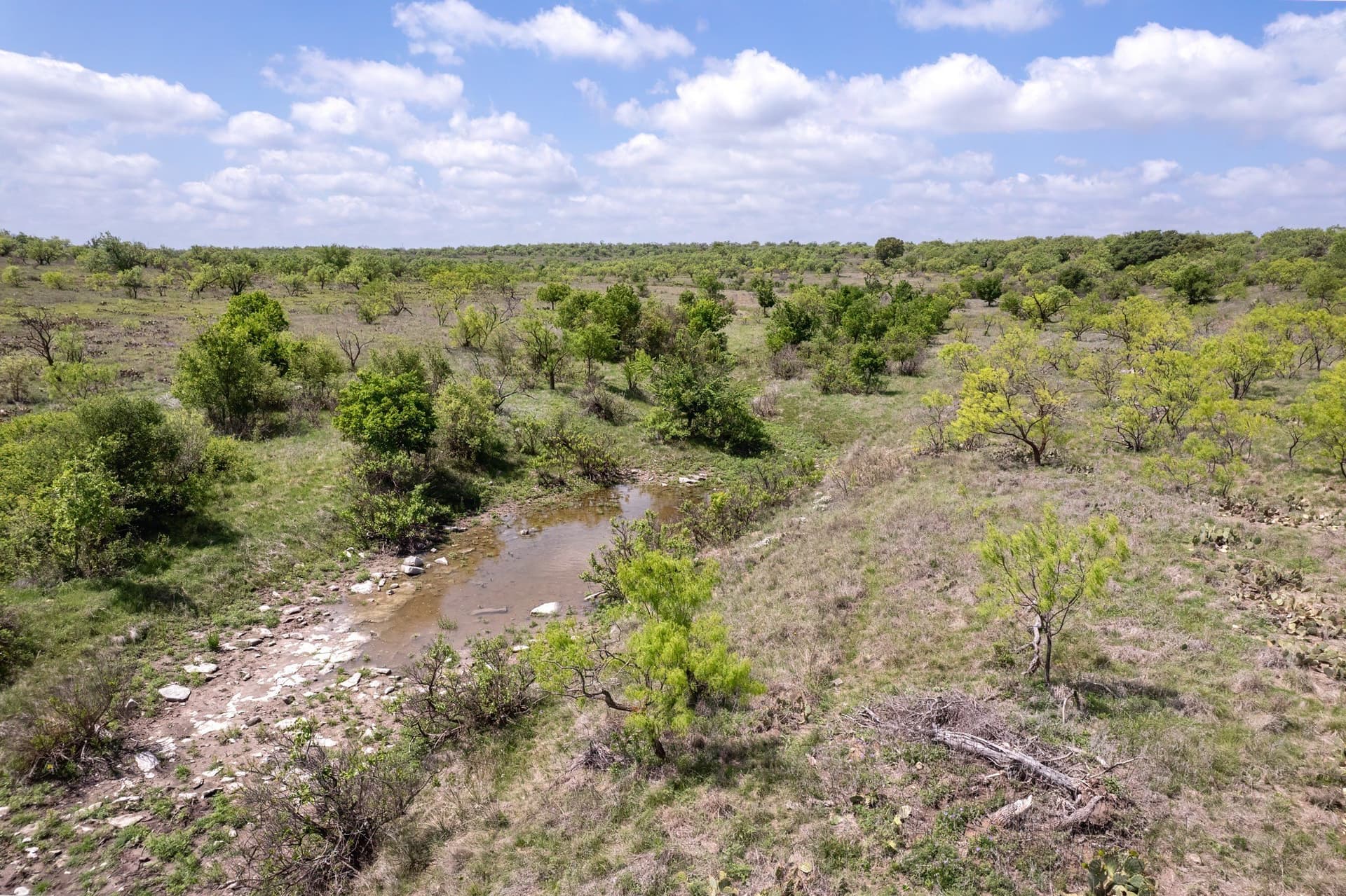 400 acres in Coleman County - photo 16