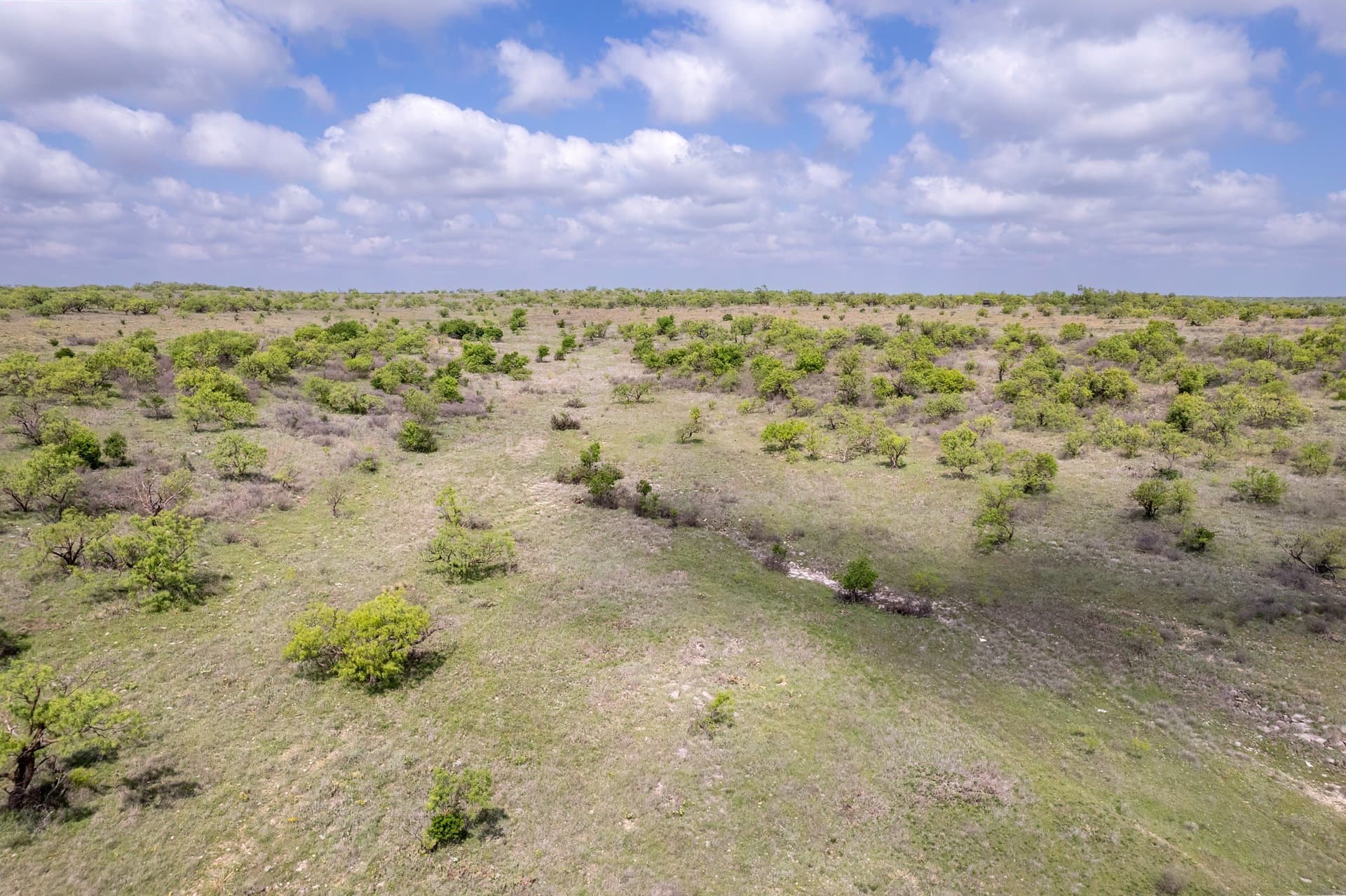 400 acres in Coleman County - photo 17