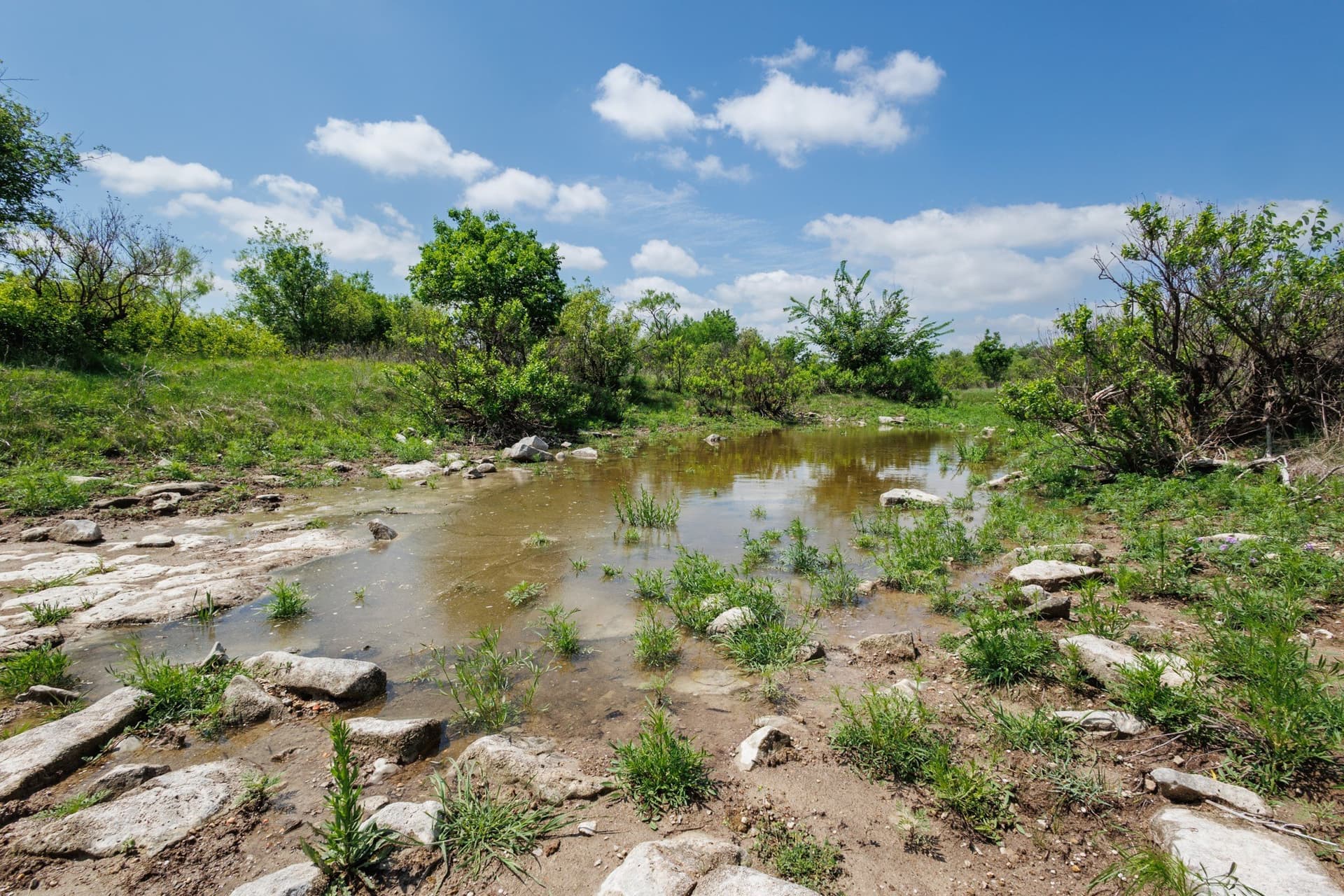 400 acres in Coleman County - photo 8