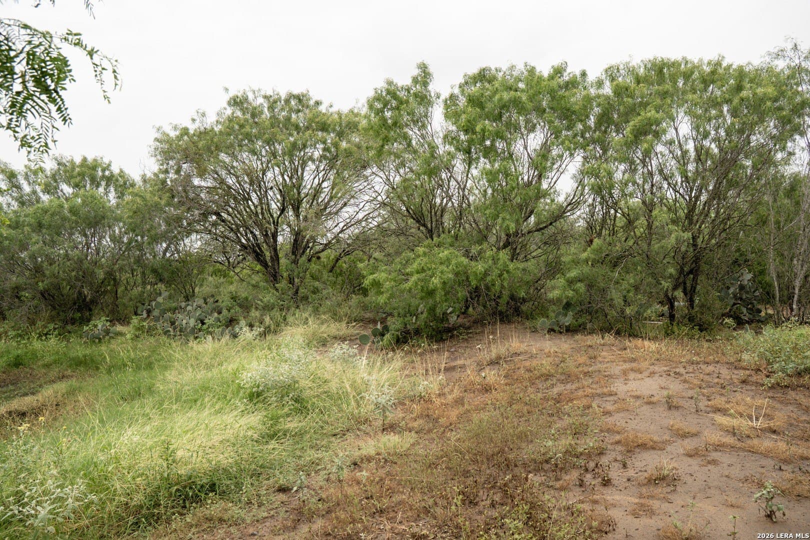 6.15 acres in Atascosa County featured view