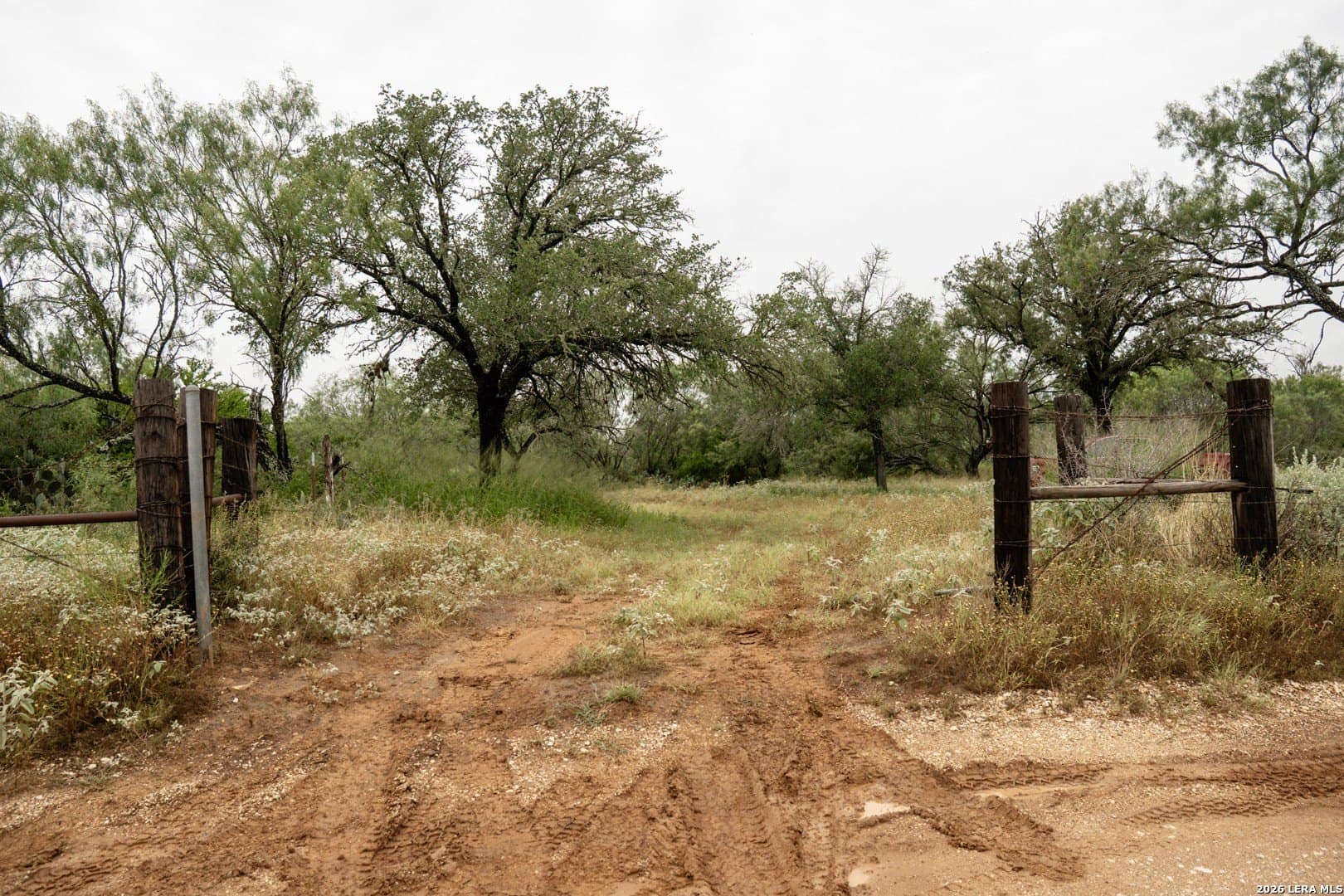 6.15 acres in Atascosa County - photo 7