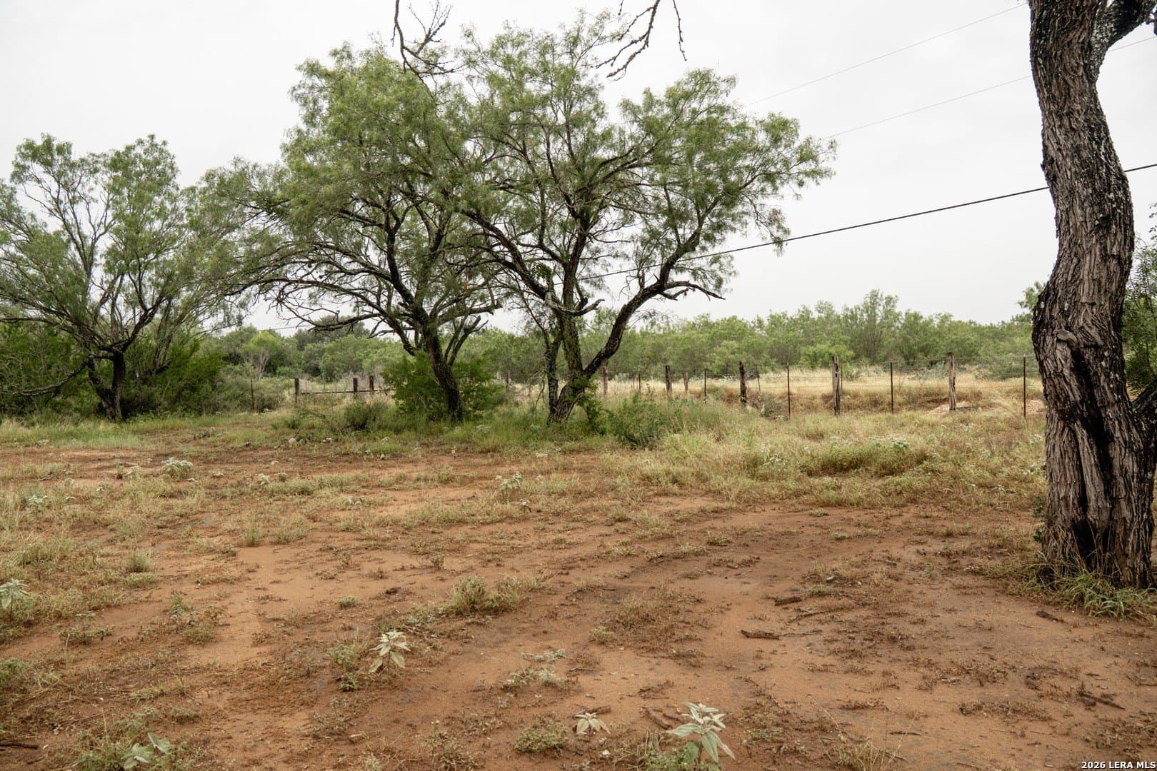 6.15 acres in Atascosa County gallery image 3