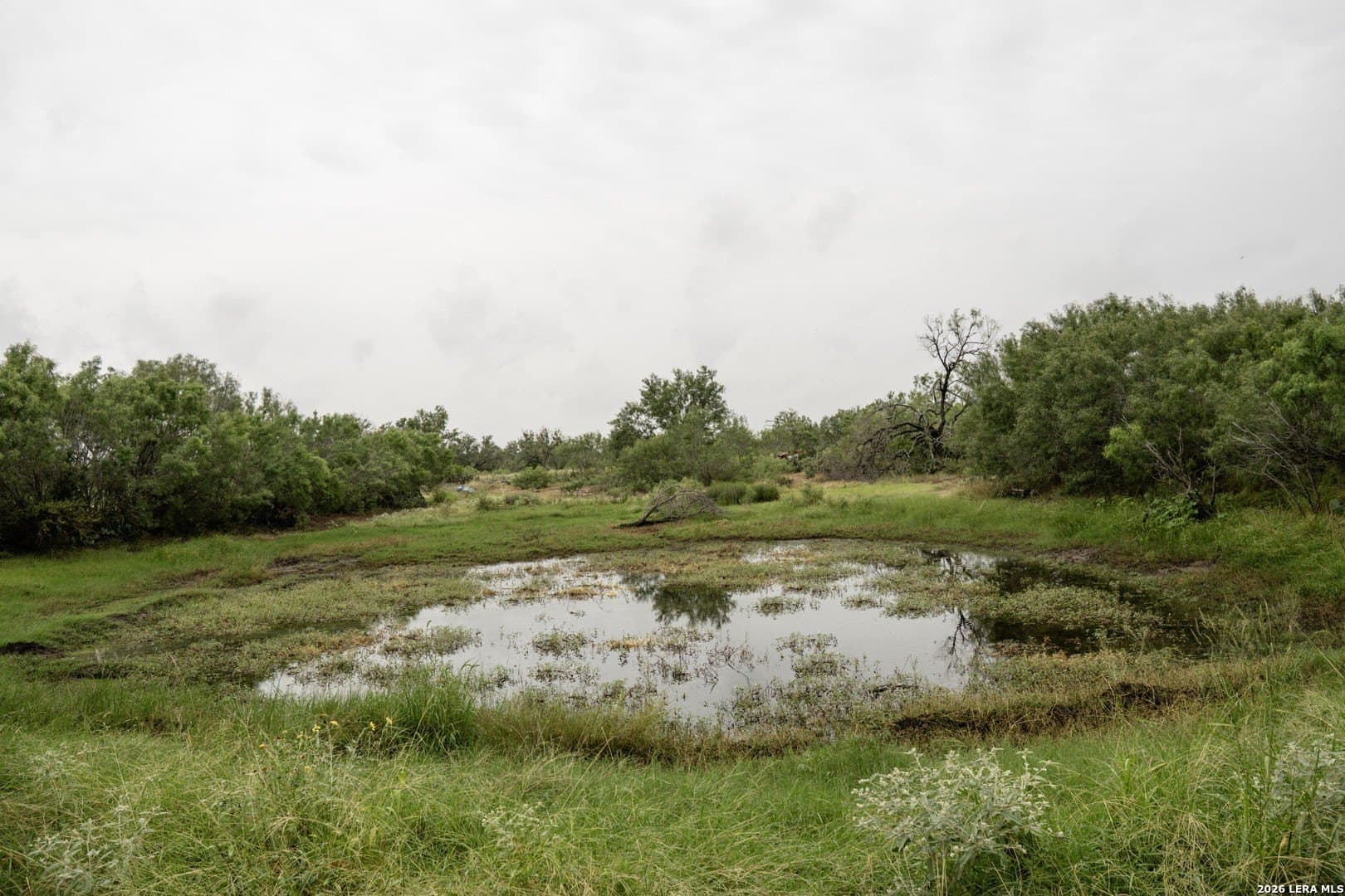 6.15 acres in Atascosa County gallery image 4