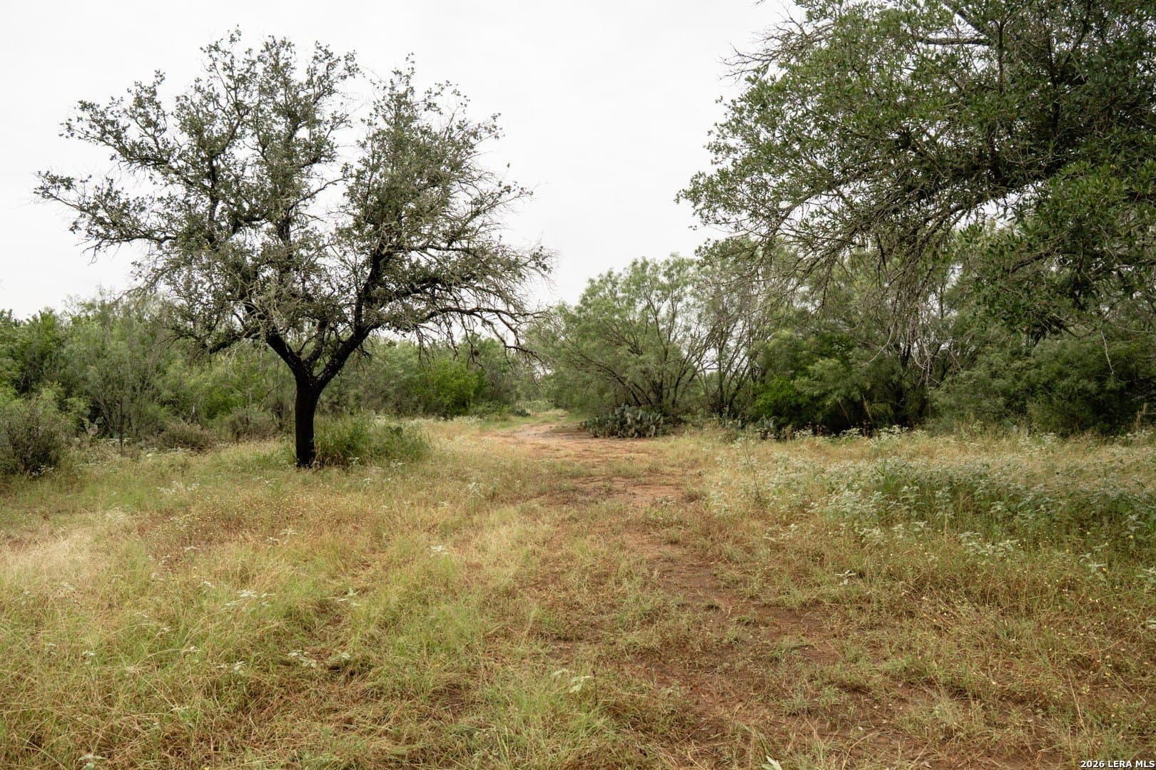 6.15 acres in Atascosa County - photo 8