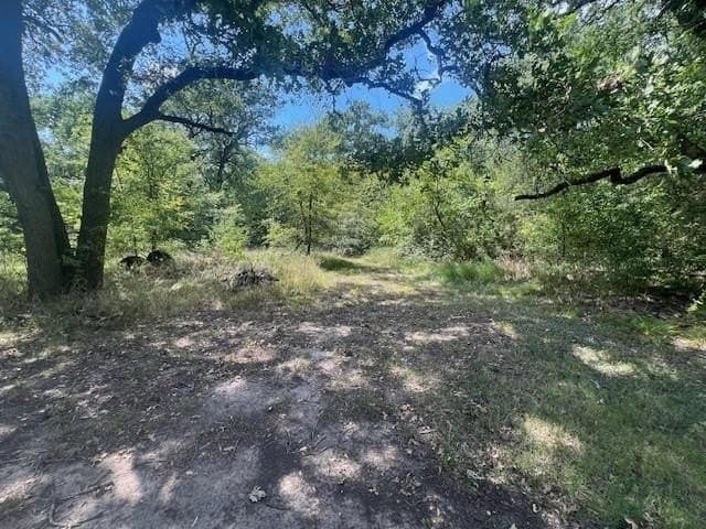 30.38 acres in Kaufman County gallery image 4