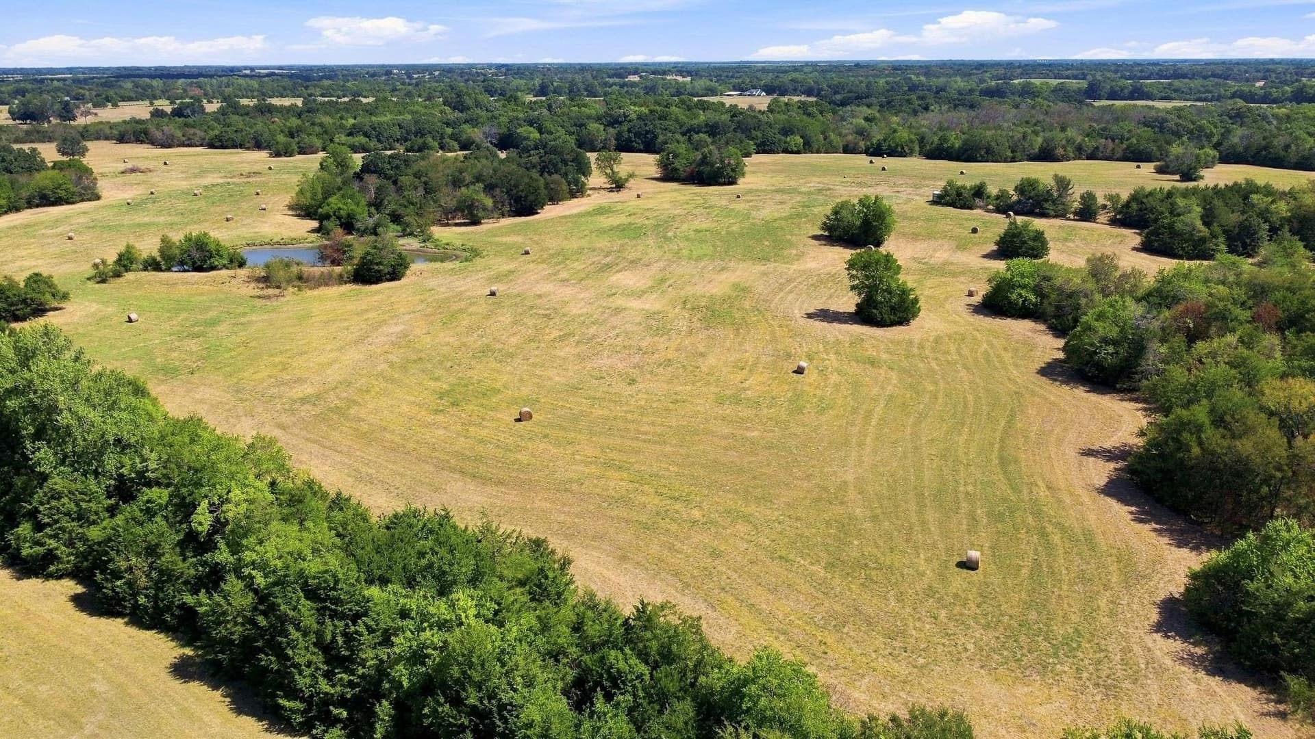 126 acres in Lamar County - photo 11