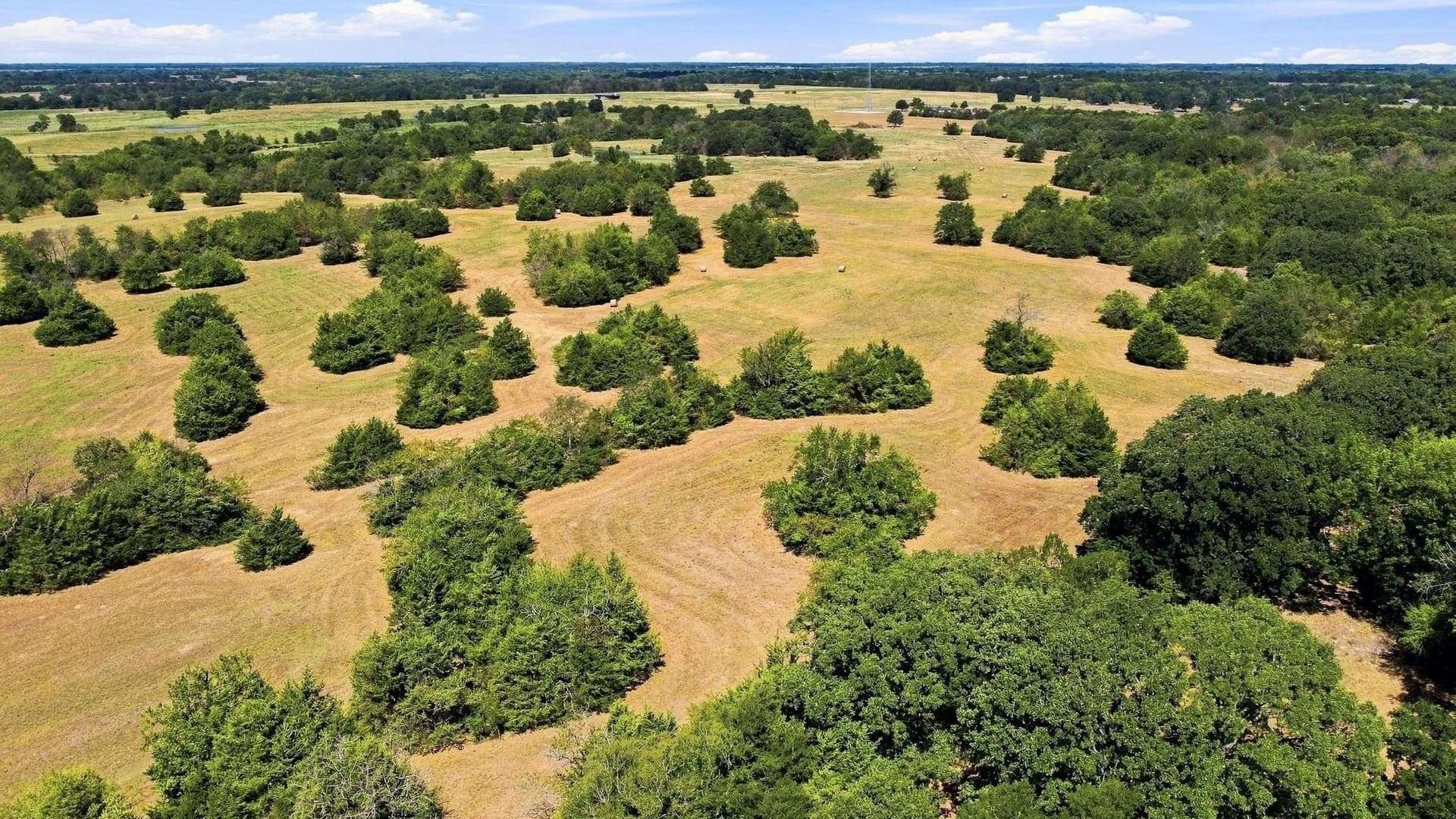 126 acres in Lamar County - photo 18