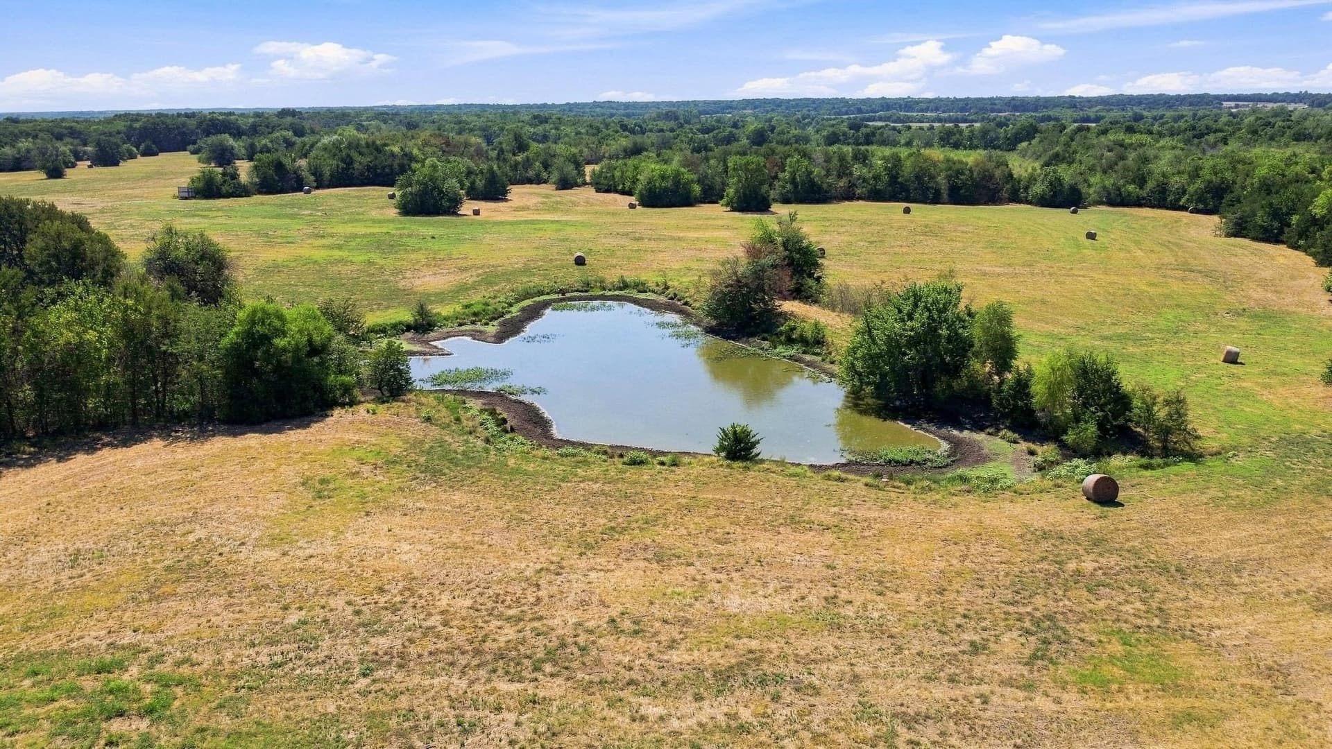 126 acres in Lamar County - photo 6