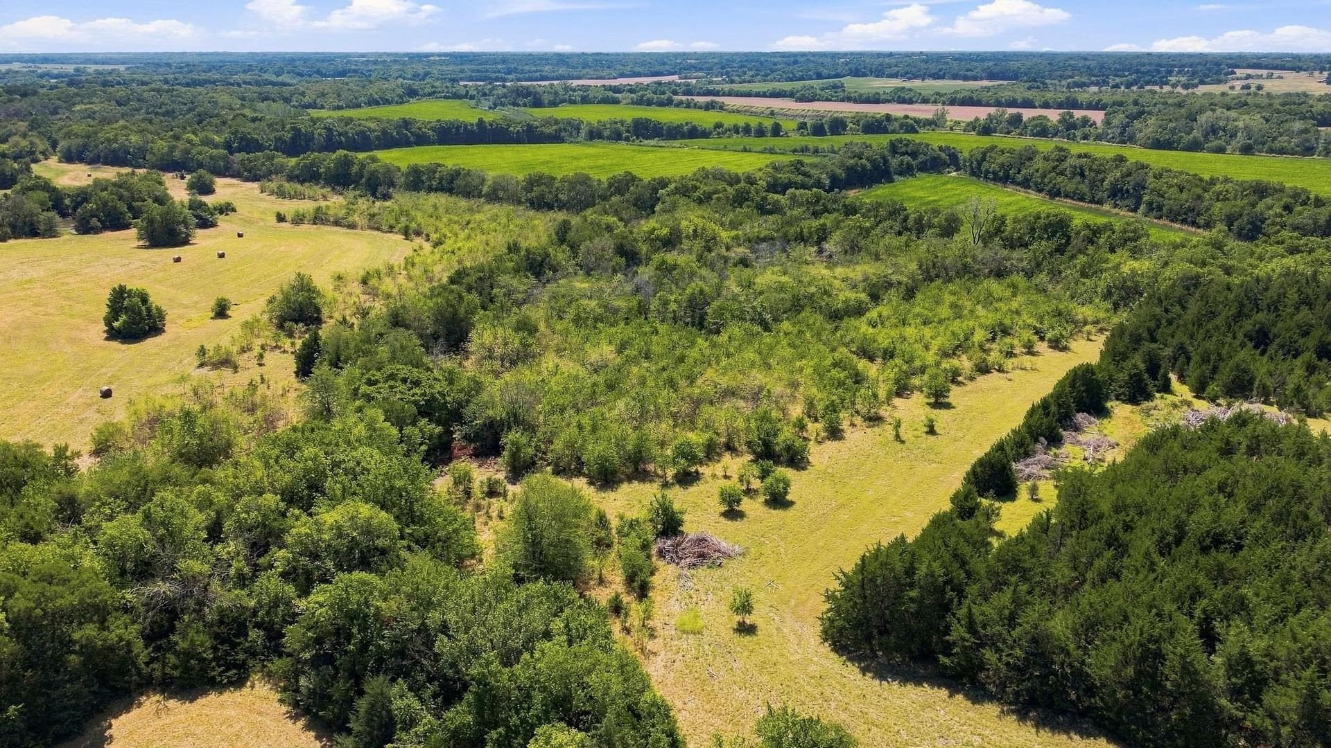 126 acres in Lamar County - photo 12