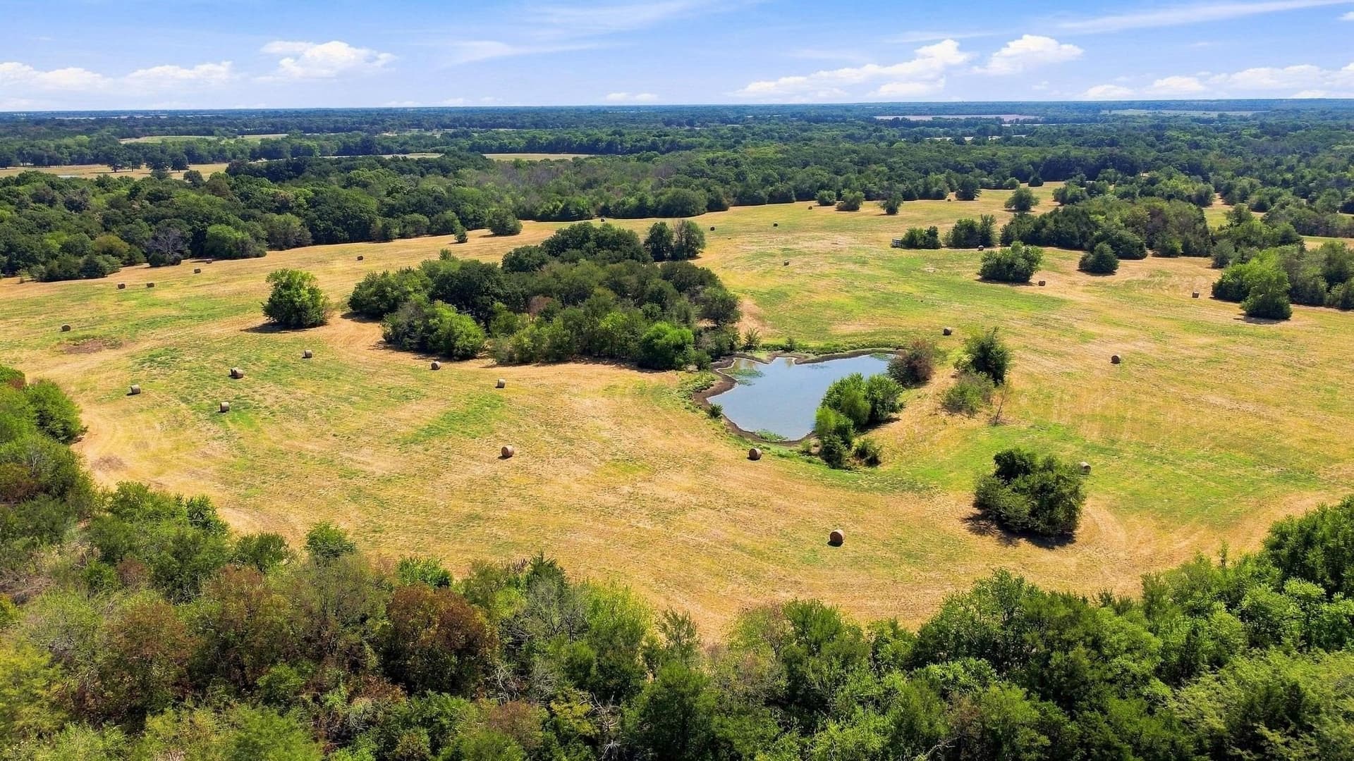 126 acres in Lamar County - photo 5