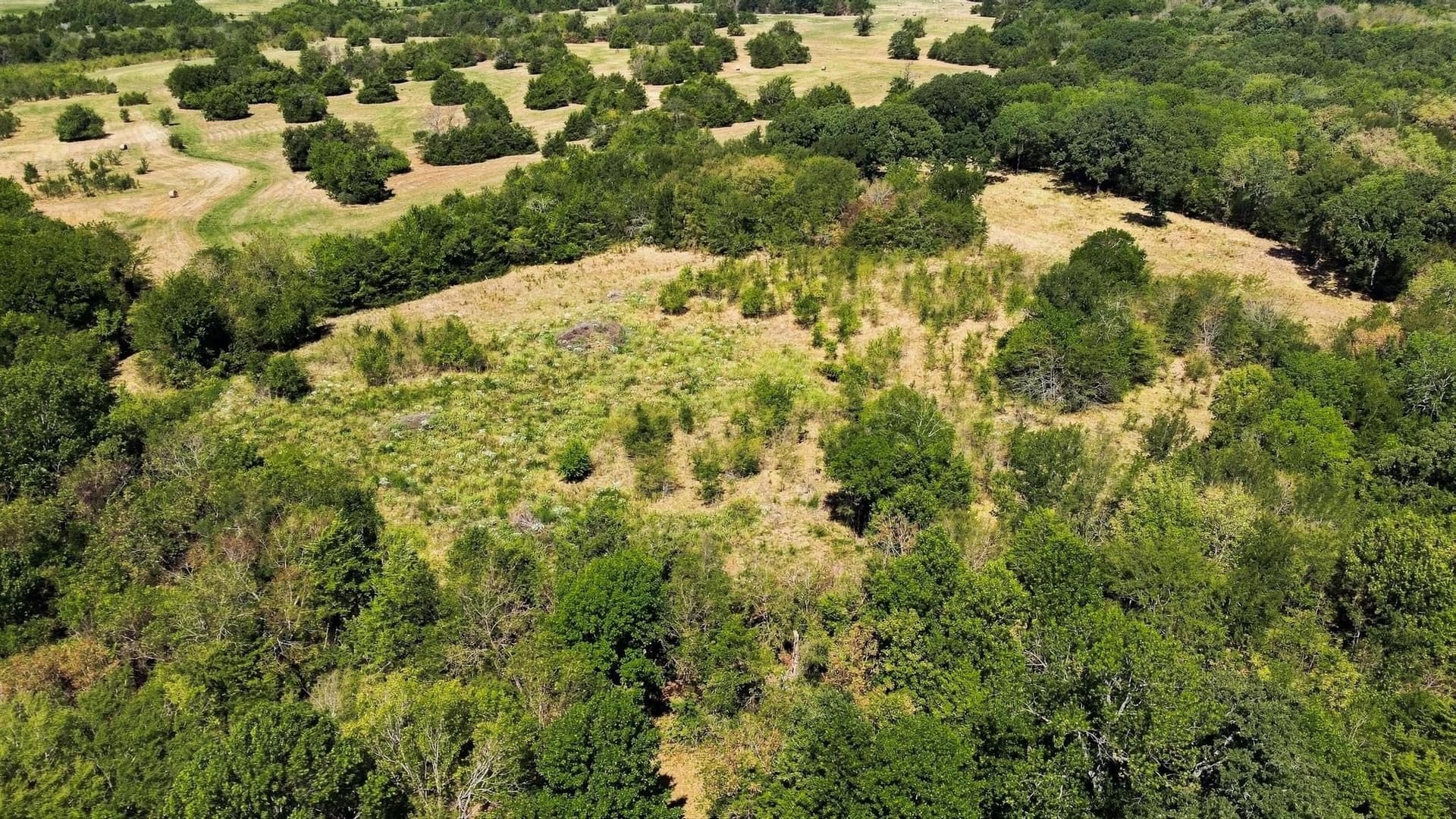 126 acres in Lamar County - photo 16